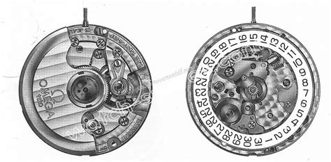 watch movement database.